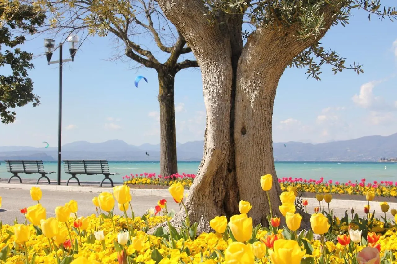 Apartment Bardolino Lake Front Italy