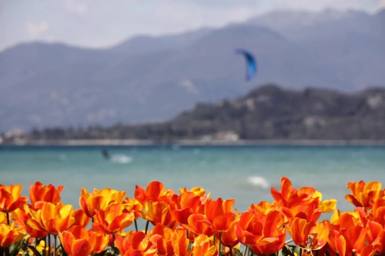 Apartment Bardolino Lake Front